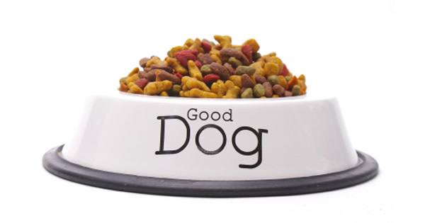Top 5 Foods For A Healthy Dog
