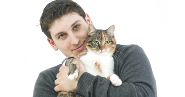 Antifreeze Poisoning In Cats