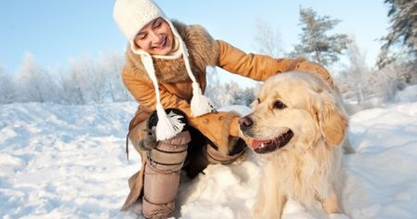 Antifreeze Poisoning In Dogs