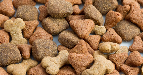 How To Break Your Dogs Bad Eating Habits