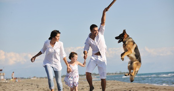 The Benefits Of Pet Health Insurance