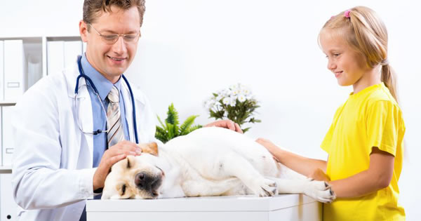 Understanding Anesthesia Sensitivity In Dogs