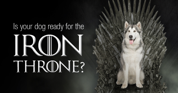 Dog Names Inspired By Game Of Thrones