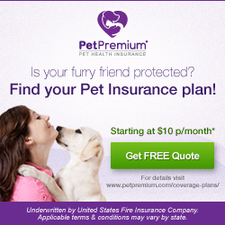 Link To Us Petpremium Pet Health Insurance