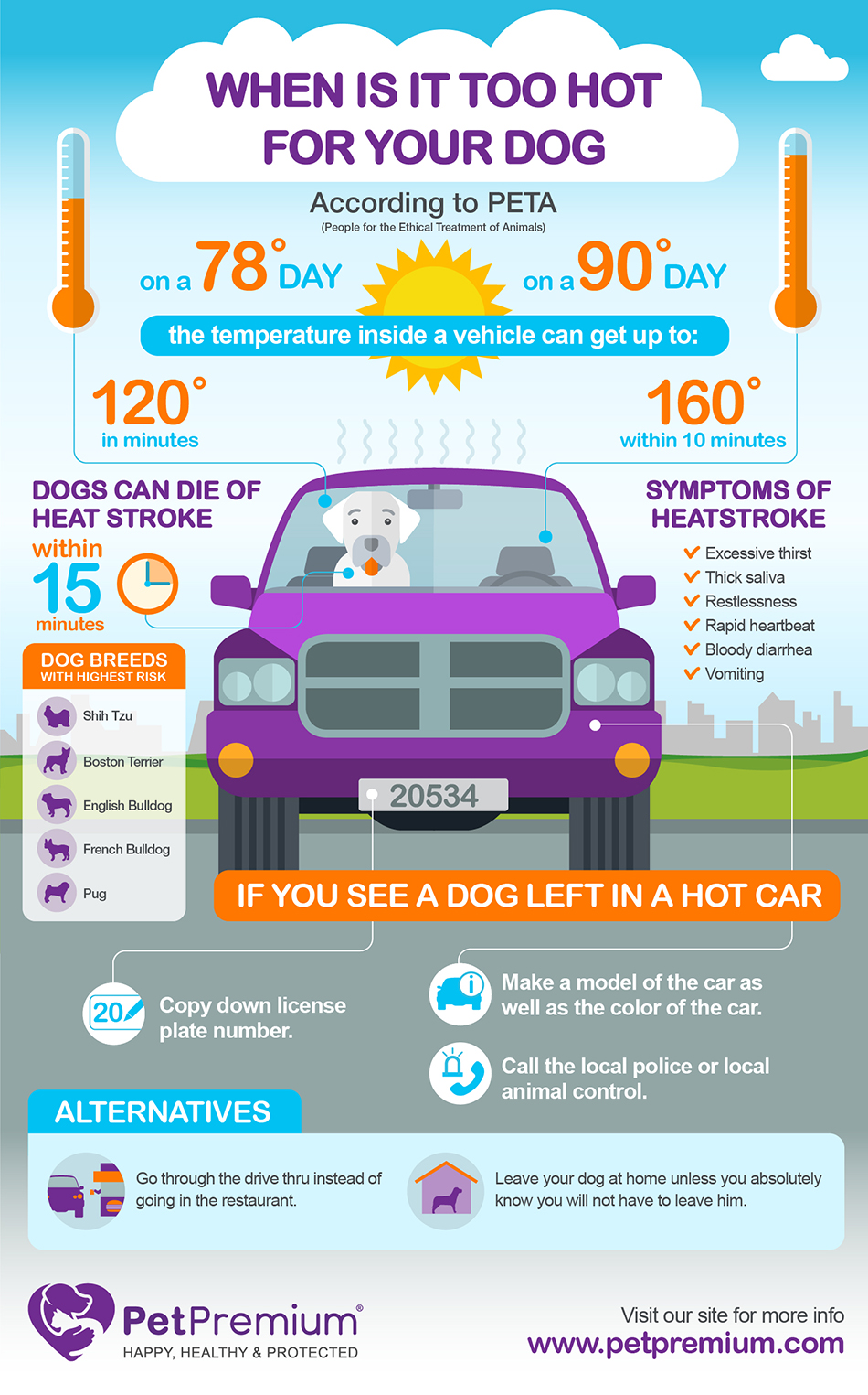 Heat Stroke in Dogs Infographic: When is it Too Hot?